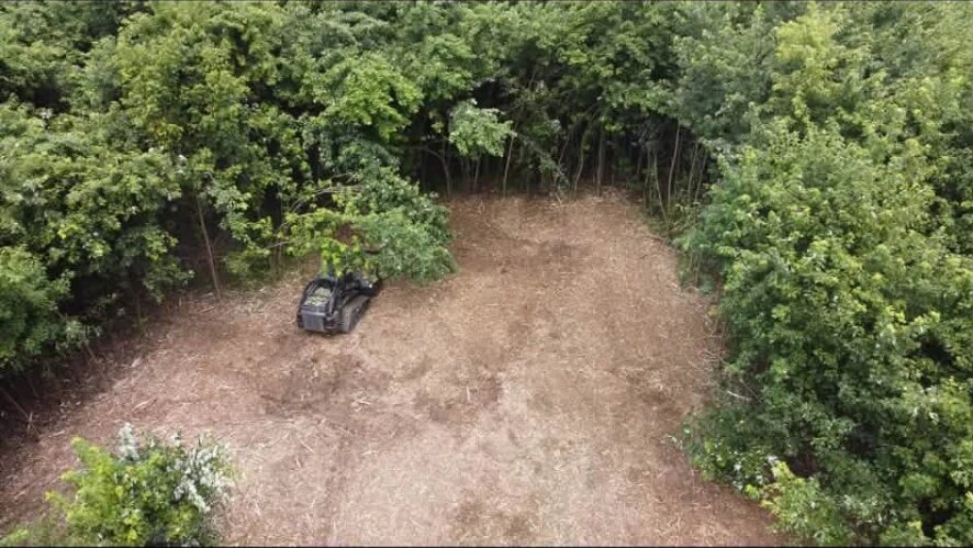 Cleared land